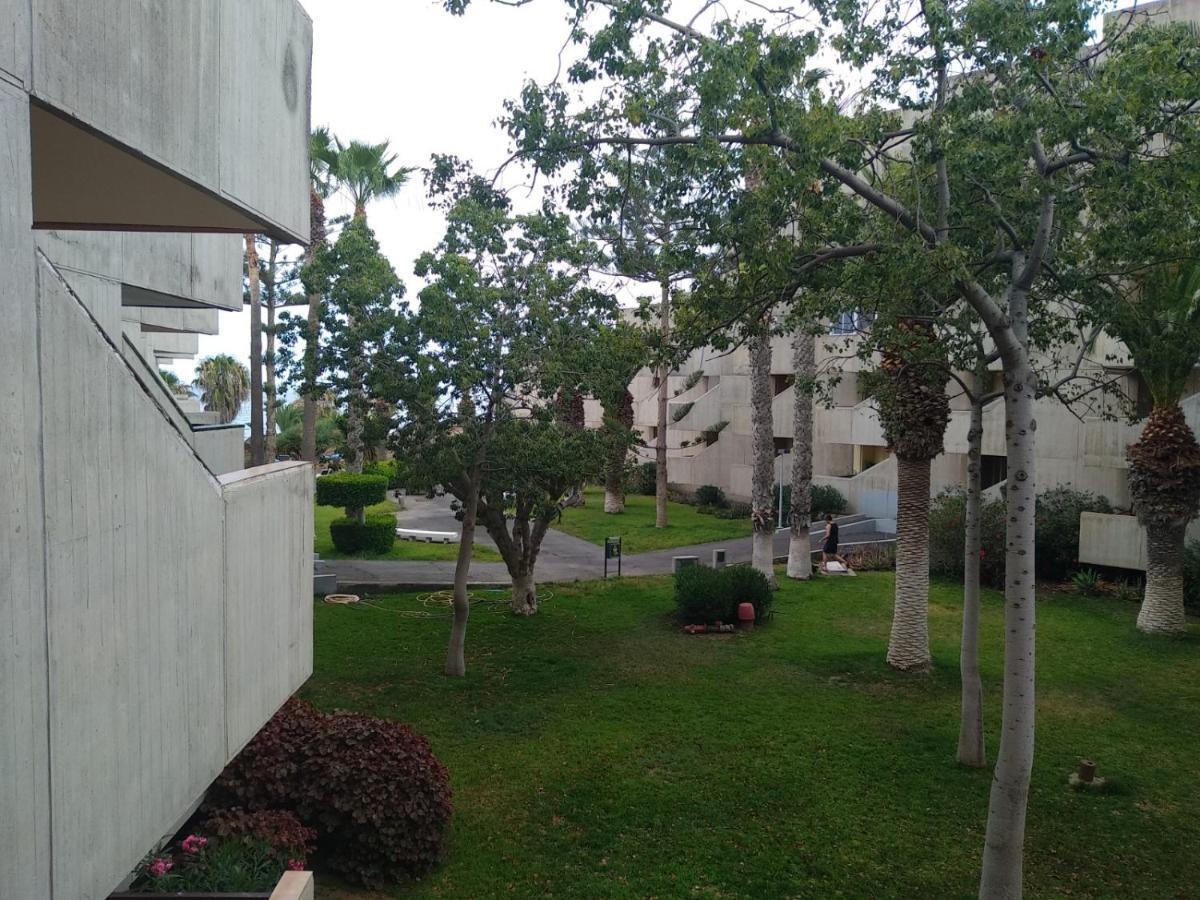 Garden View Apartment In Las Galletas Арона Екстер'єр фото
